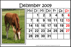 12-Dezember-2009-quer.jpg